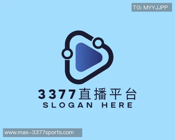 2010世界杯足球盛宴回顾：激情与荣耀交织的南非之旅